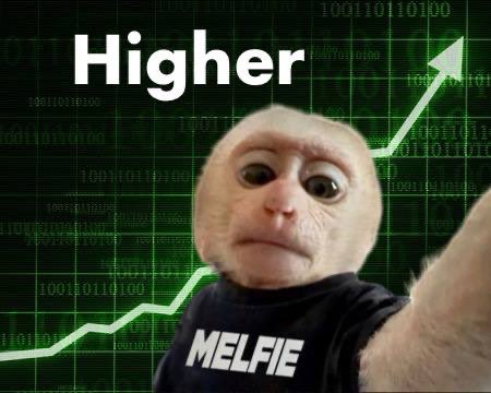 <a href="/mrpunkdoteth/">Mrpunk.eth</a> $MELFIE <a href="/melfiesol/">MELFIE</a>