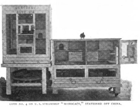 MilitaryPigeons's tweet photo. Pigeon loft aboard the US Navy gunboat Monocacy, c. 1893 (courtesy of The Illustrated American) https://t.co/nxEbG7dPjp