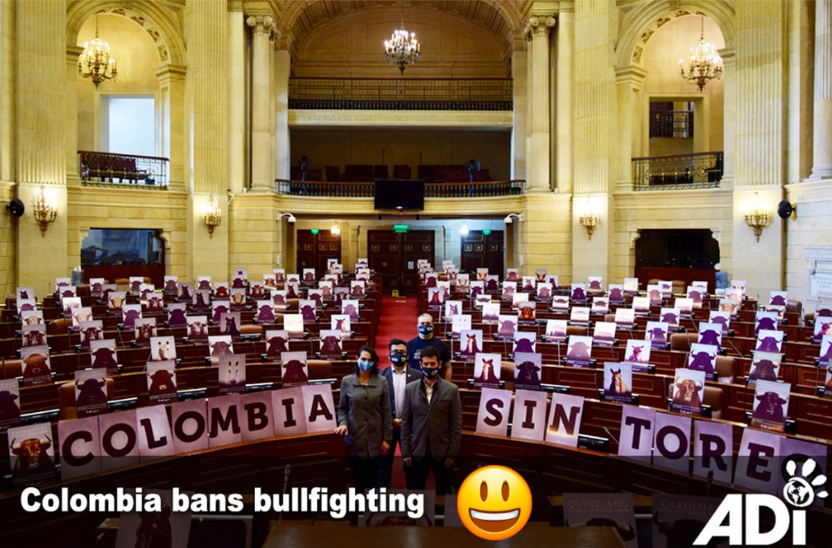 AnimalDefenders's tweet image. THE BEST NEWS! The past weeks have seen some good news for animals, from the Kuwait 6 homecoming to Colombia’s ban on bullfighting, and much more, check out some of the highlights here.
For more details and full round up, check out Jan’s blog:
jancreamer.com