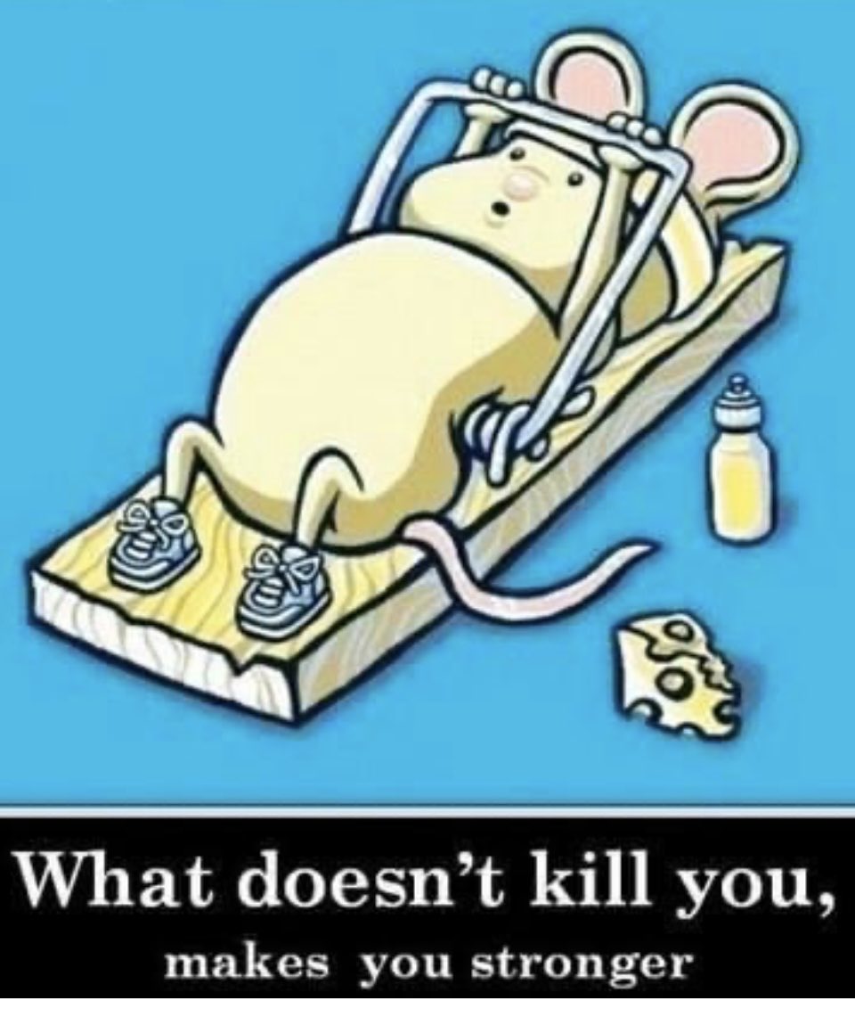 Yup!! #Tuesday #motivation #funny #yougotthis