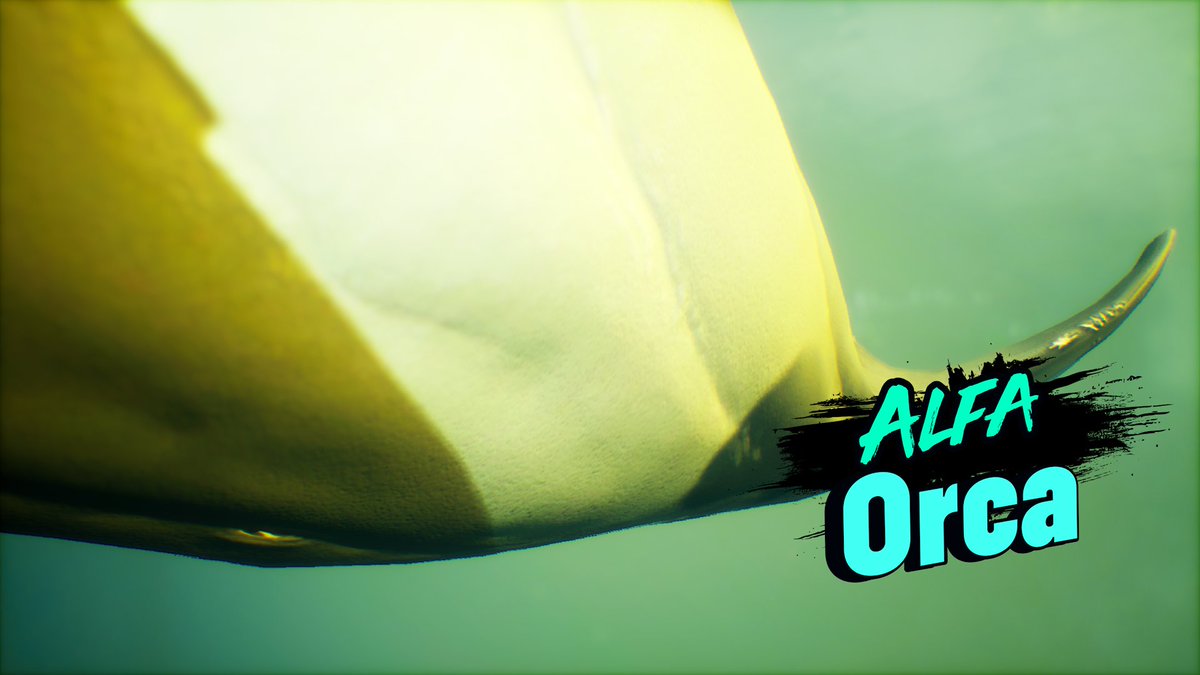 caio_alysson's tweet photo. #XboxShare https://t.co/menhKVtF2z