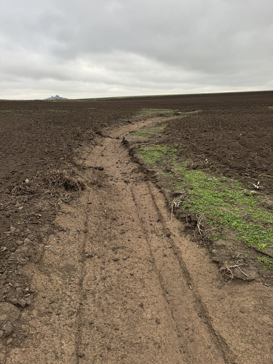 PecoAz's tweet photo. Esto genera la producción de papa en suelos con pendiente, #carcavas que se pueden ver en las imágenes de Google, es uno de los tantos temas con conversaciones pendientes en nuestro país #erosion #erosionhidrica #suelos #soil @AACSuelo #ComisionConservacionSuelos @CiafbaOficial https://t.co/dfjn6xDG20