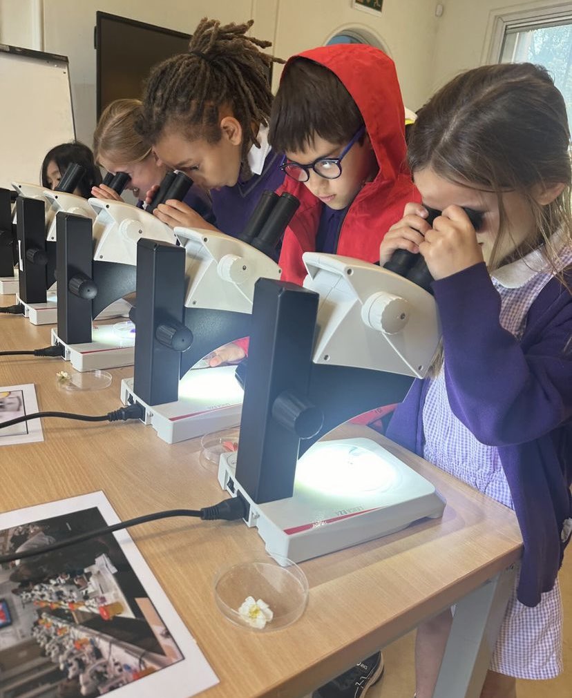 At Franklin we are scientists 🧑‍🔬🔬🧬💜

🌿 Year 3 had an amazing school trip to Kew Gardens! 🌼 They explored the journey of plants from seed to flower, learned about seed formation and dispersion, and how to care for plants. What a fantastic day of discovery and learning! 📚🌱