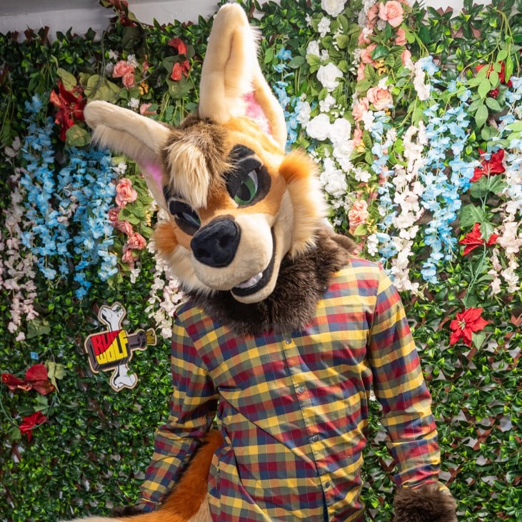 RumWolf's tweet photo. Now up for auction as a fullsuit, check him out.

https://t.co/D0MPo5rjII

Ref:@WaifuKaala https://t.co/6n0qBwQUpf