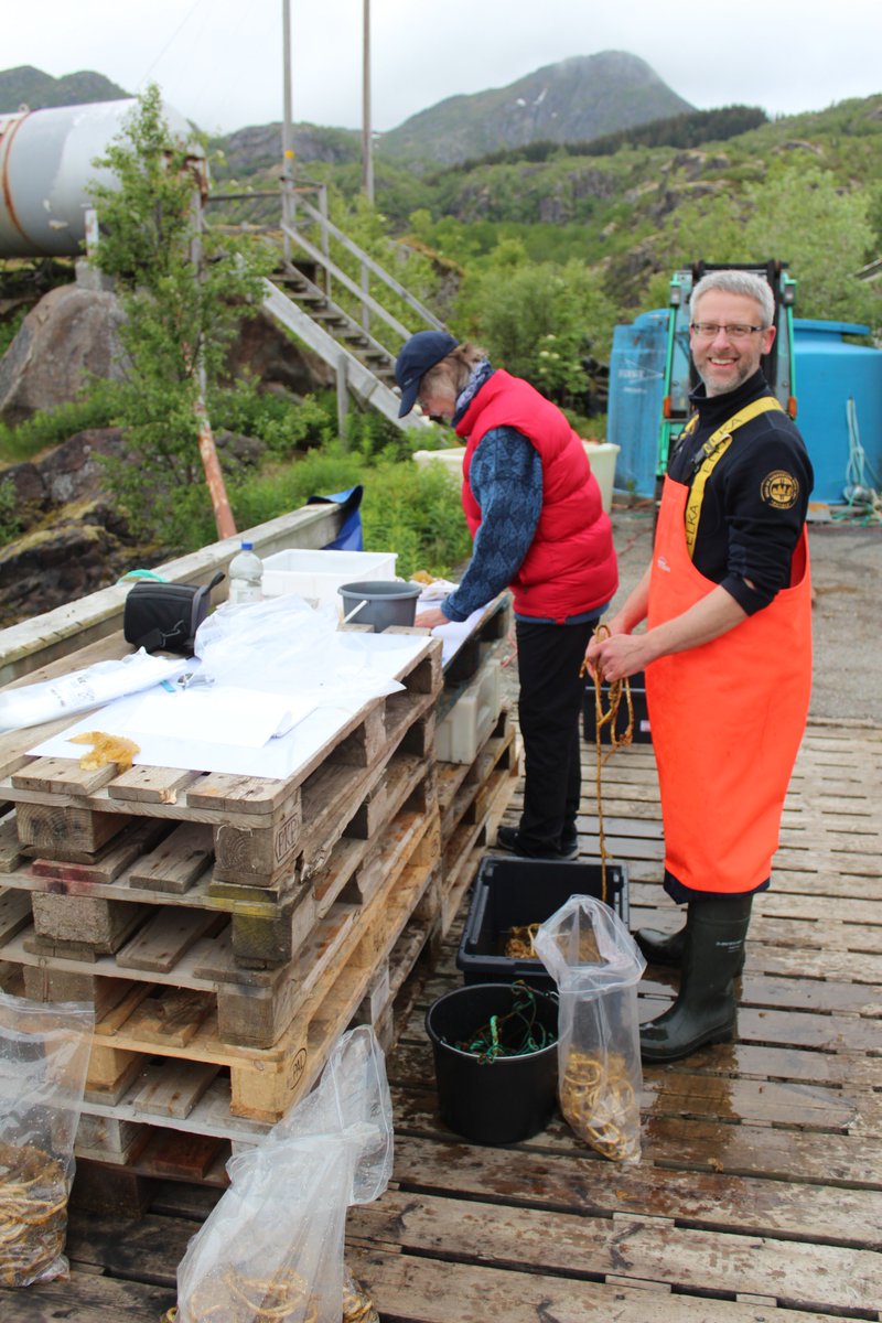 nfrKelprime tweet media