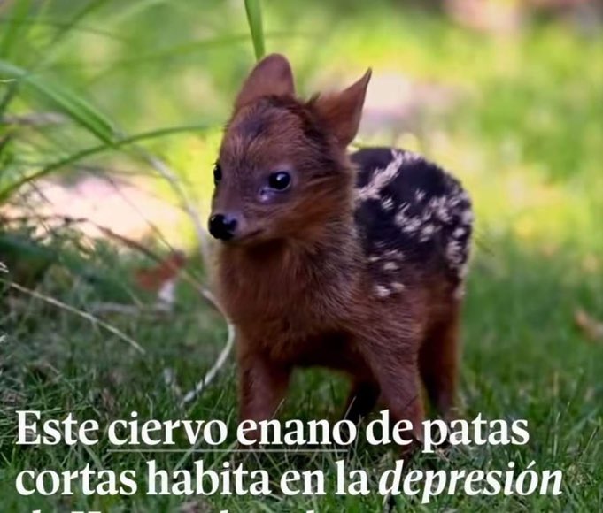 heyminzu's tweet photo. efectivamente soy esta https://t.co/JpELhHEoT6