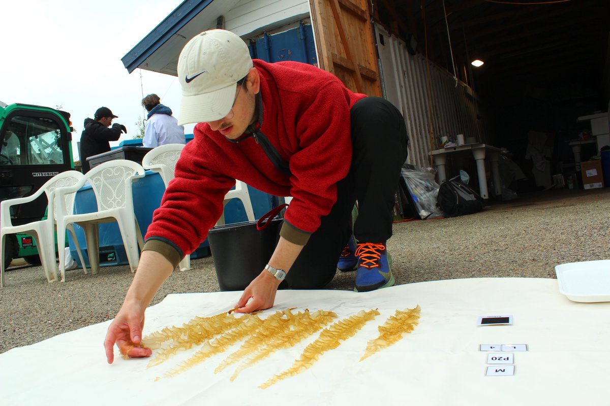 nfrKelprime tweet media