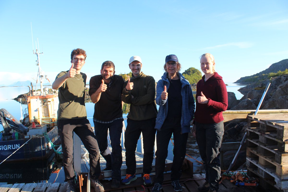 🌊🔬 Our June-harvest at lofotenblueharvest.com suggests that priming kelp gametophytes impacts sporophyte yield. Next up: testing effects on heat stress, fouling, grazing, biochemistry &amp; epigenetic memory. Thanks <a href="/AWI_Media/">AWI Media</a>, @LofotenBlueHarvest, @NIBIO_no  &amp; <a href="/Norduniversitet/">Nord universitet</a>