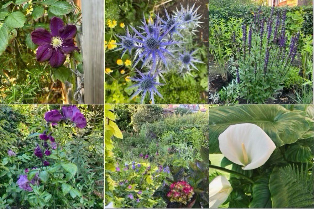 jane davis tweet media