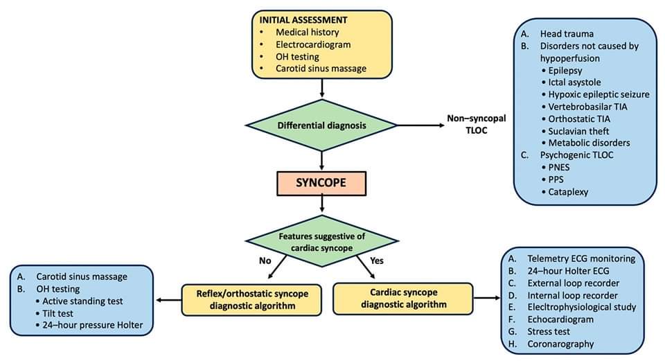 ZHeart11768530's tweet photo. 🔴 Recent Advances &amp; Future Directions in Syncope Management #2024Review #OpenAccess

https://t.co/zOIQOiwpHT
#cardioEd #Cardiology #ENARM #FOAMed https://t.co/CALzWoNJpY