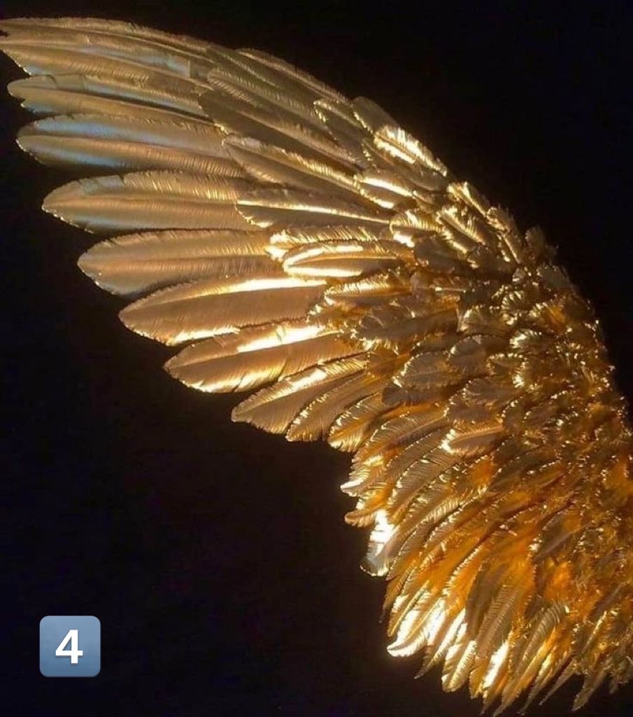 sabinethegem's tweet image. pick a pic results 🧚🏽‍♀️

↓