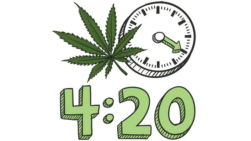 treehuggerzca's tweet image. It&apos;s Time. #blazeit #42O
