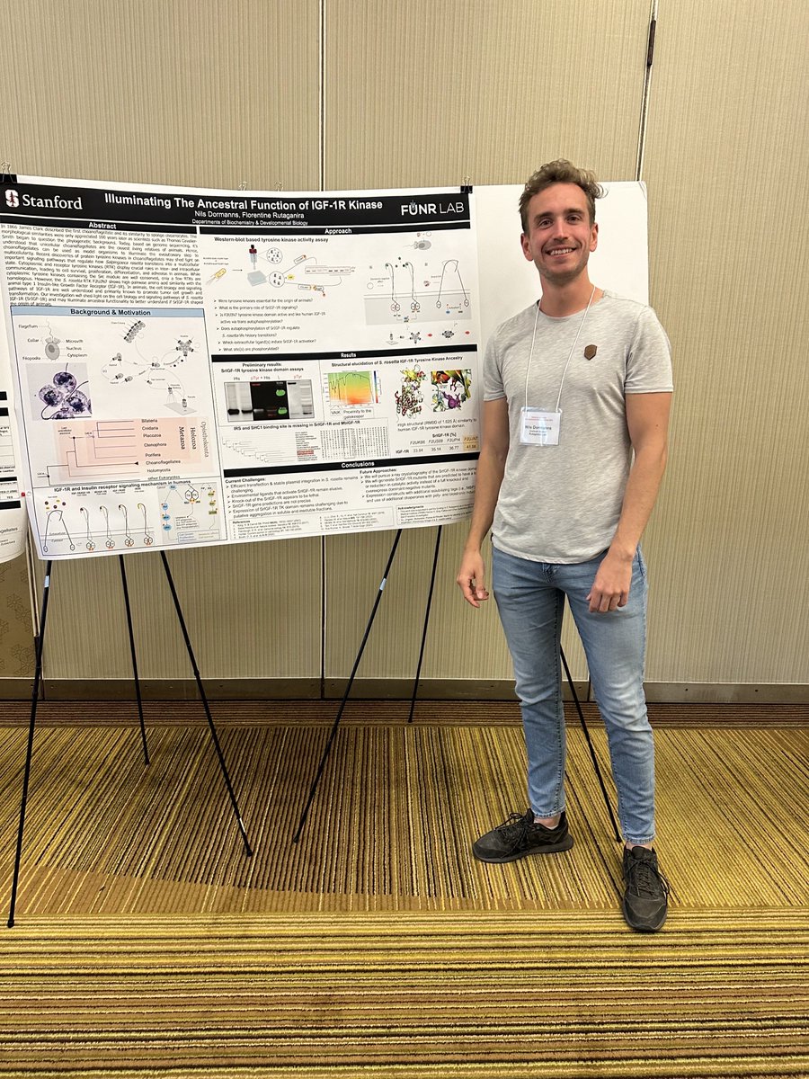 The FUNR Lab (@funrscience) on Twitter photo As our academic year closes, we’d like to congratulate our first lab alum, <a href="/NDormanns/">Nils Dormanns</a>, on receiving his Master's from <a href="/UniHannover/">Leibniz Uni Hannover</a>. Your excellent training with <a href="/CBeemelmanns/">BeemelmannsLab</a> was pivotal to the FUNR lab's early success! We wish you the very best on your scientific journey! As our academic year closes, we’d like to congratulate our first lab alum, <a href="/NDormanns/">Nils Dormanns</a>, on receiving his Master's from <a href="/UniHannover/">Leibniz Uni Hannover</a>. Your excellent training with <a href="/CBeemelmanns/">BeemelmannsLab</a> was pivotal to the FUNR lab's early success! We wish you the very best on your scientific journey!