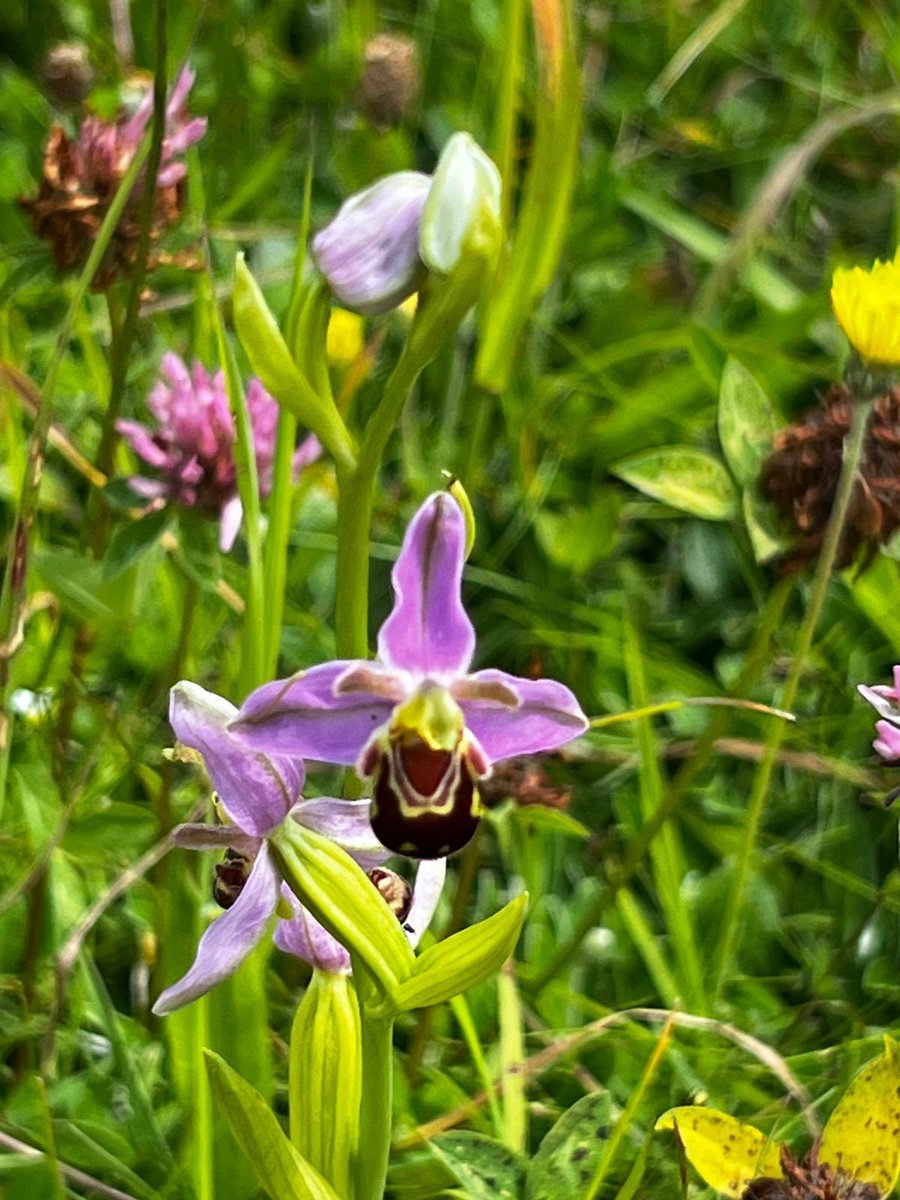 Andrew Waggott tweet media