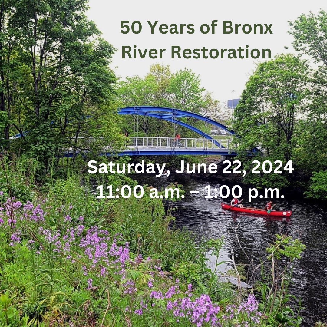 50 Years of Bronx River Restoration
Saturday, June 22, 2024
11:00 a.m. – 1:00 p.m.

ow.ly/ftWC50SkZyx

#HistoricDistrictsCouncil #nyc #preservation #architecture #history #hdc #preservationconference #hdcconference #2024hdcconference
