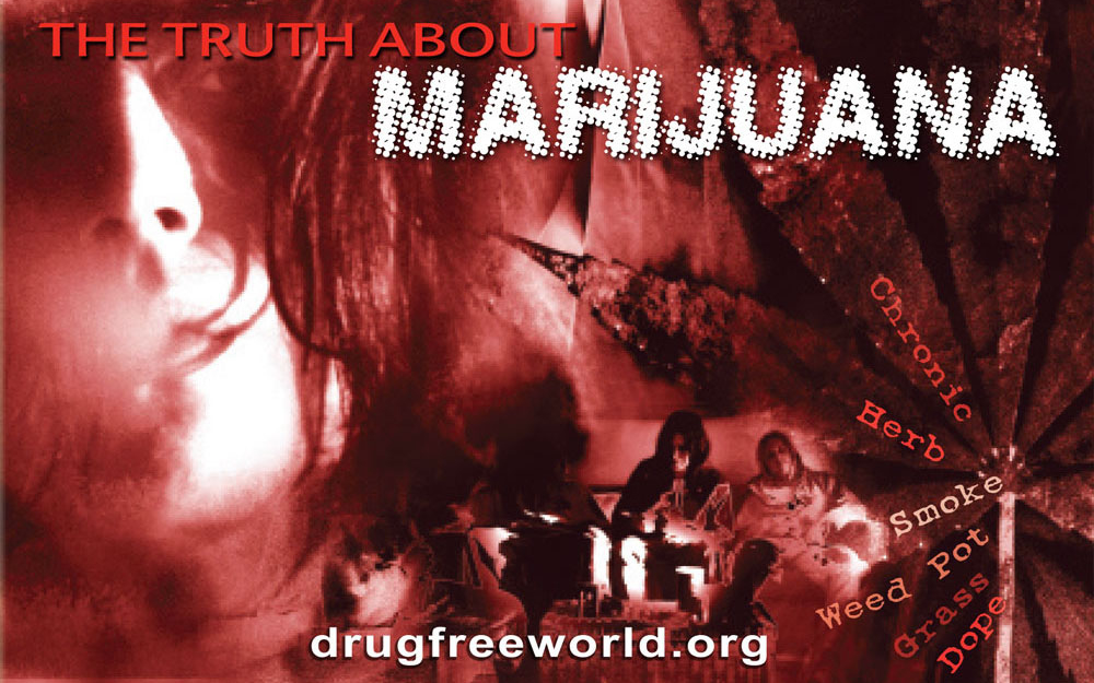 drugfreeworld's tweet photo. You may have heard someone say that because #marijuana is a plant, it’s “natural” and so it’s harmless. But it’s not. Hemlock, a poisonous plant, is also “natural,” but it can kill.
Study up on side effects of marijuana use: https://t.co/s9JW00HjE5 https://t.co/4H18S7blad