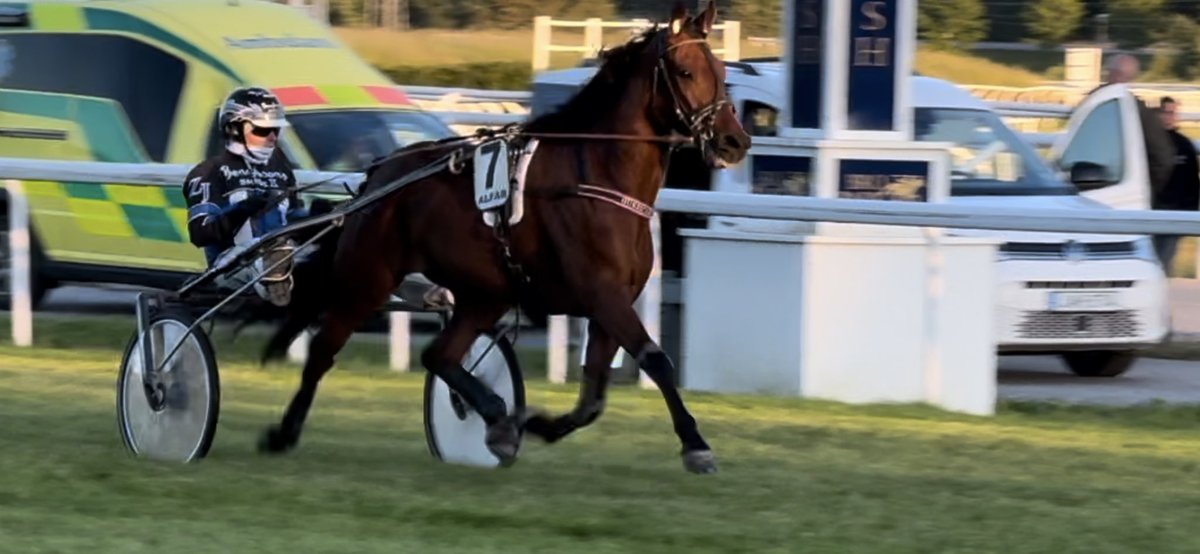 Ser fin ut och ser ut som han trivs på gräs 😍