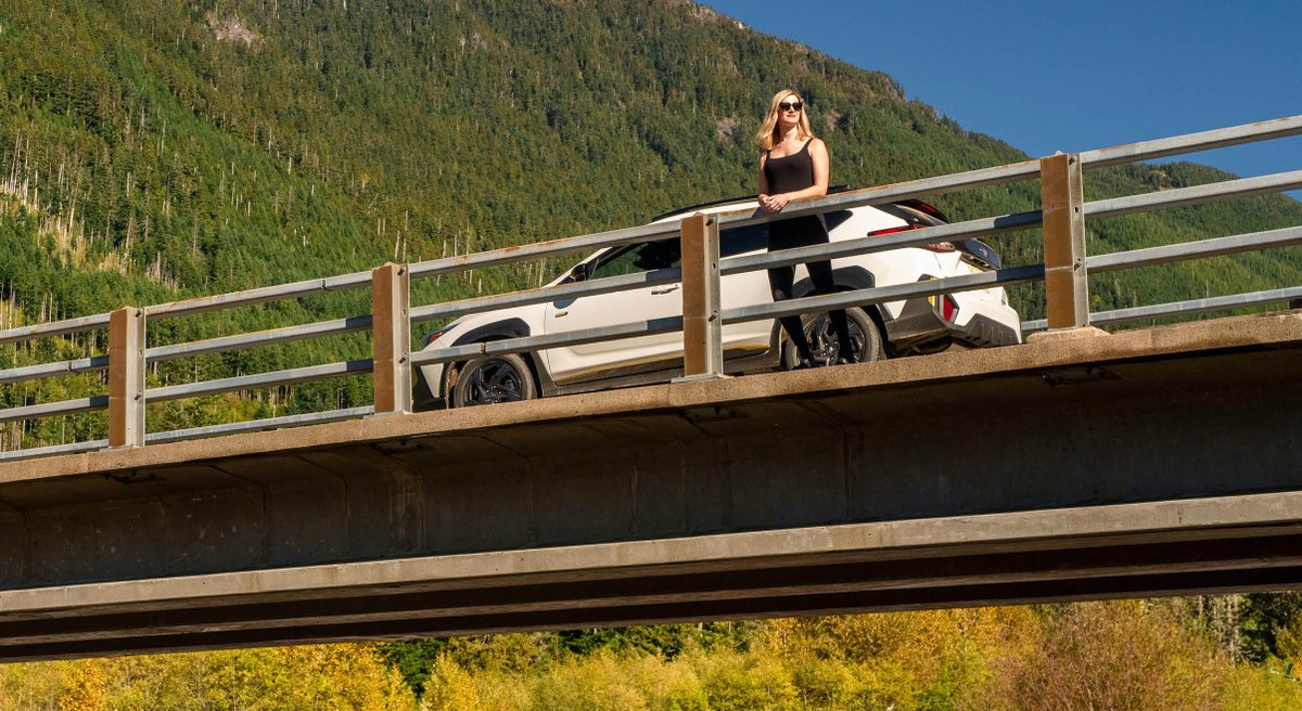 Carrara Media tweet media