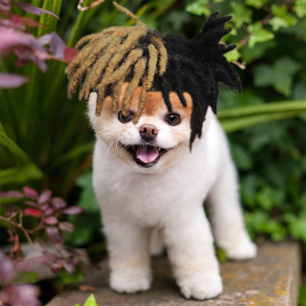 gamertrun's tweet photo. @ElonMuskPDA Feeling ruff? Follow $BOO, the fluffiest celeb on Facebook! With 16M fans and four adorable photobooks, he’s the pup-star your feed needs! 🐶📚 
@BooOnSol1 https://t.co/AosK2fIDgL