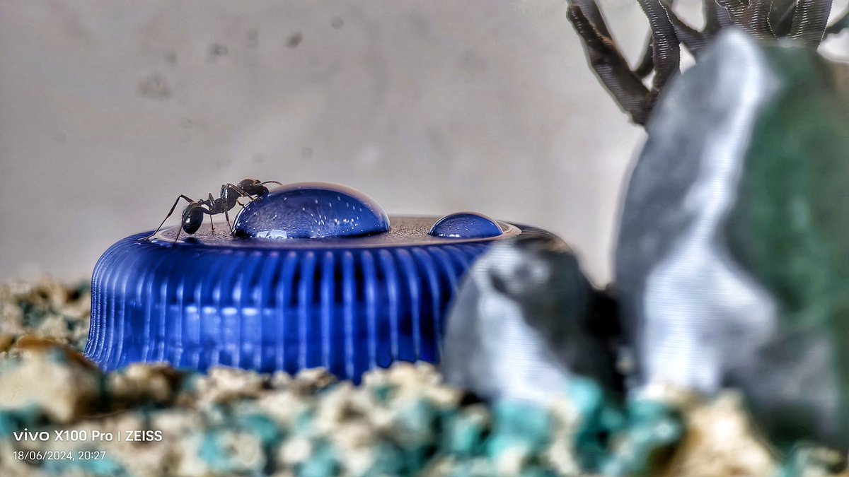 El Vivo x100 pro es una cámara de fotos con teléfono. 
Qué maravilla
<a href="/vivo_espana/">vivo España</a>