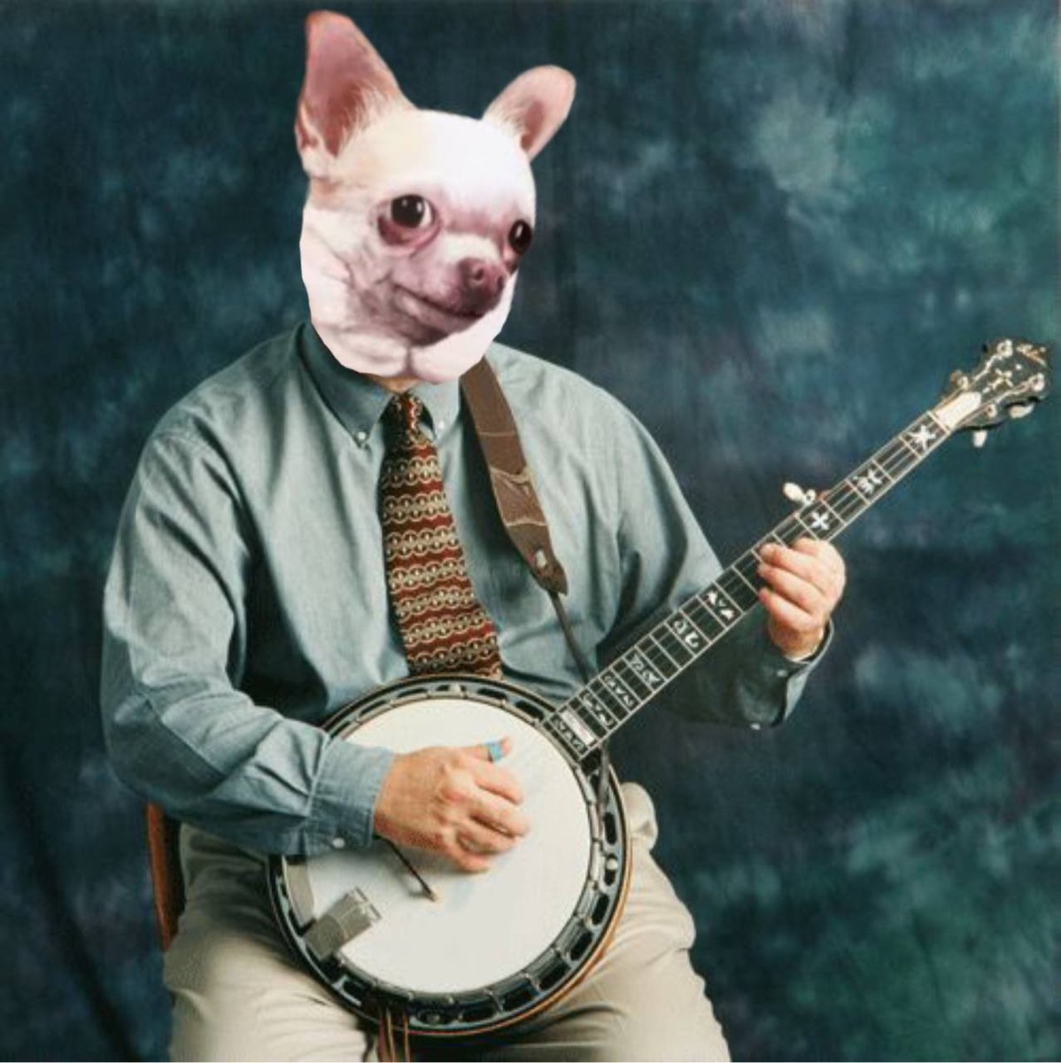 $BANJO tweet media