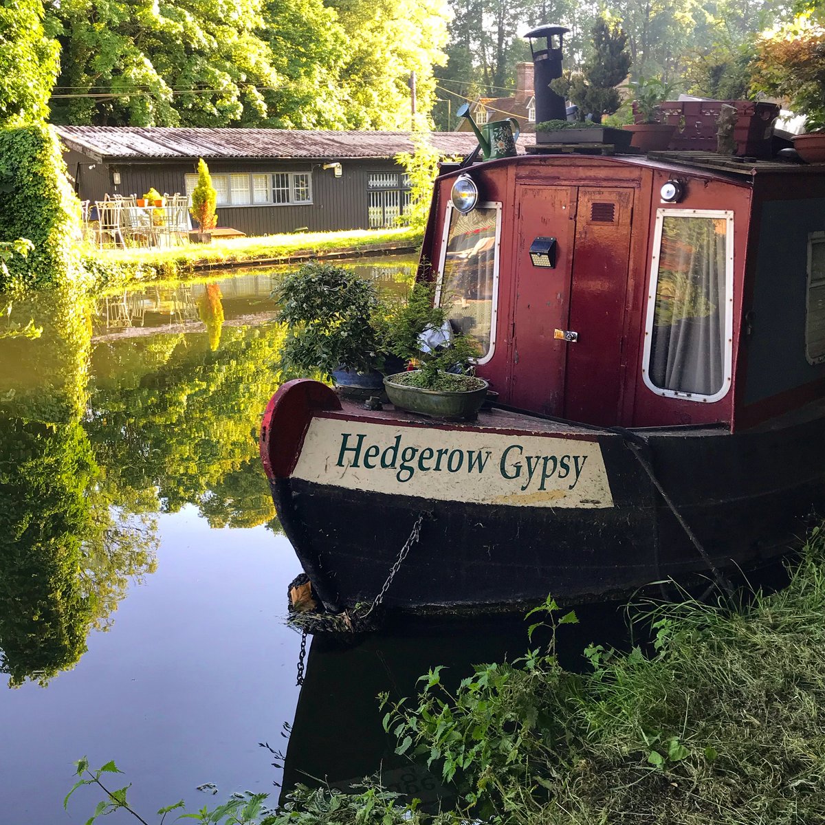 They say don’t put off until tomorrow what you can do today… A golden evening on the towpath…  🌾🍷