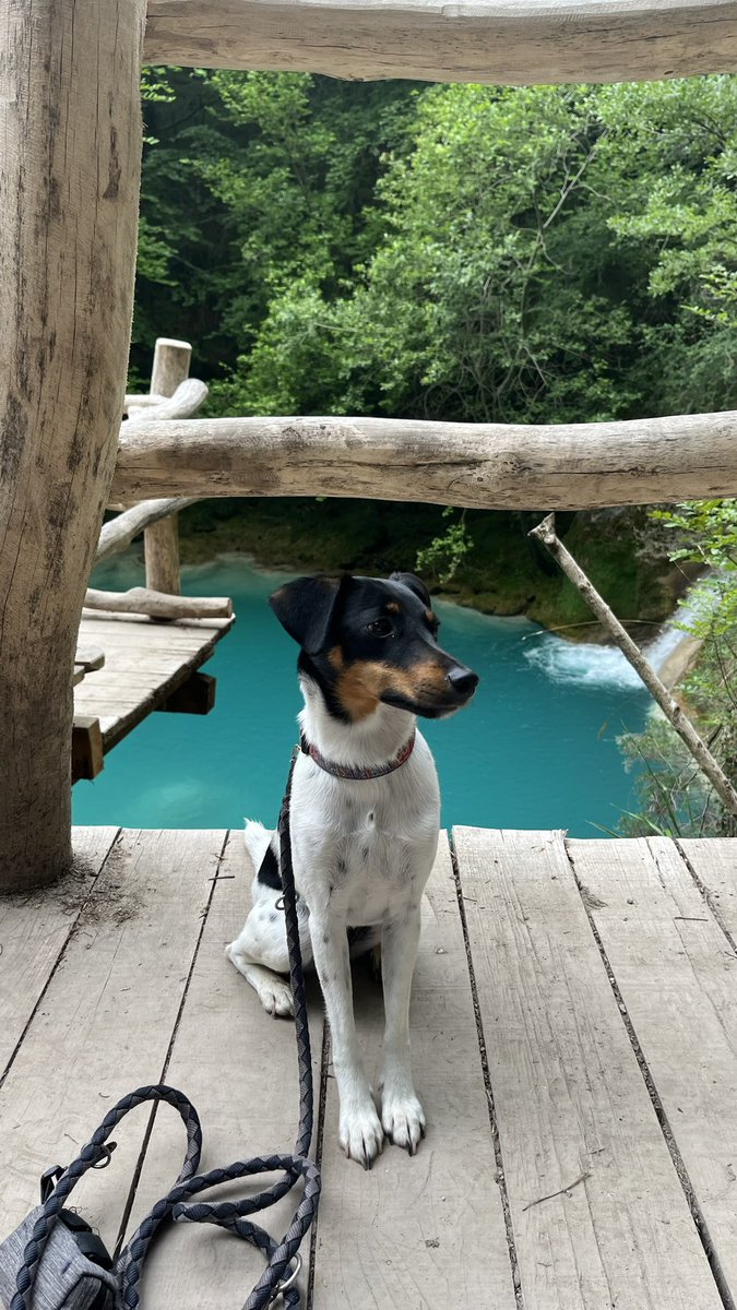 Jago ツ tweet media