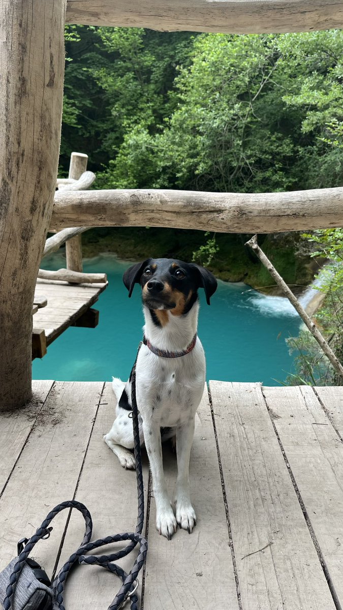 Jago ツ tweet media