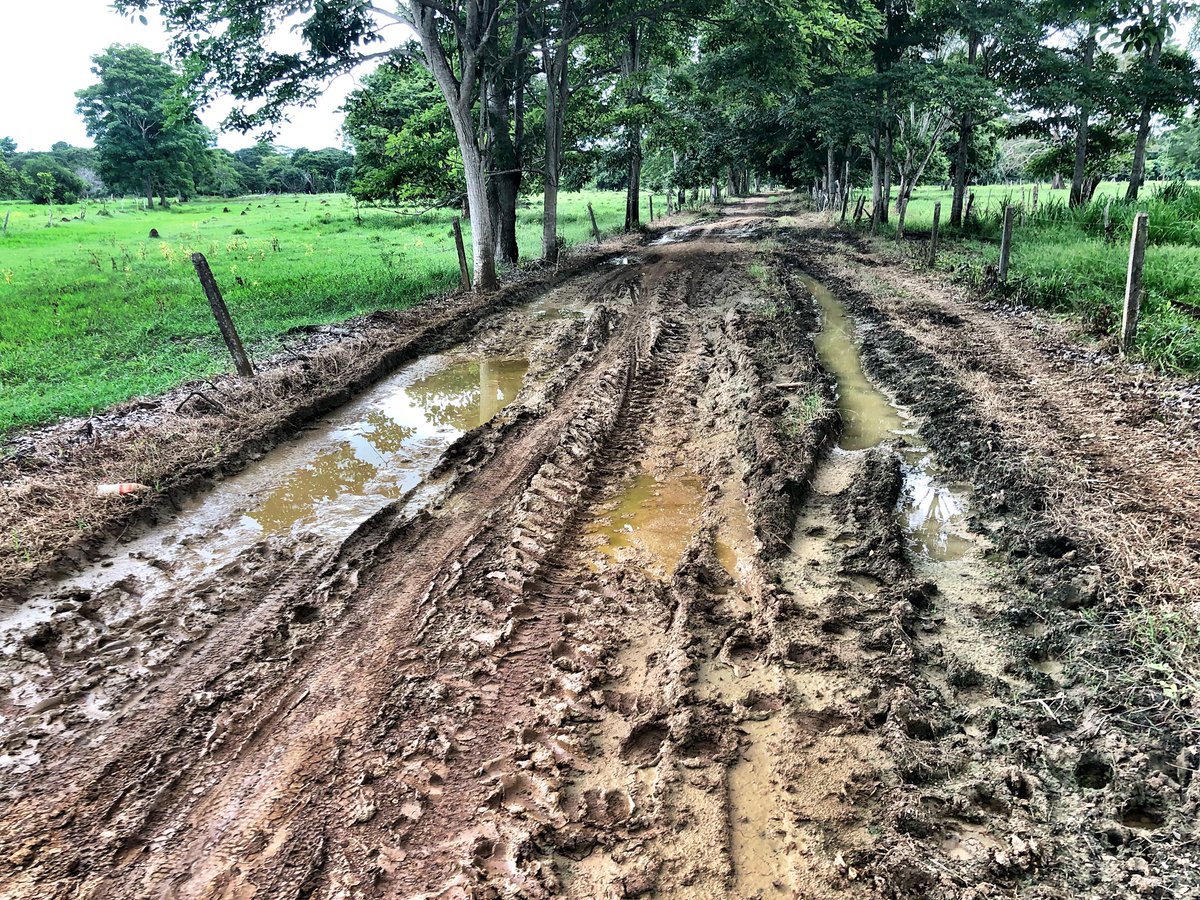 robzap99's tweet photo. Que buen resultado Alcalde!  También necesitamos el Banco de Maquinaria en la vía La Cabaña- La Mora - San Felipe este es el estado actual https://t.co/qsy8Cdq2Bz