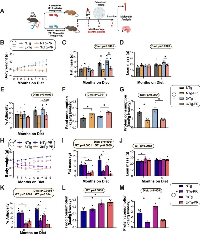 Agingdoc⭐David Barzilai🔔MD PhD MS MBA DipABLM🩺 (@agingdoc1) on Twitter photo Protein restriction slows the development and progression of pathology in a mouse model of Alzheimer’s disease
@RejiBabygirija <a href="/JerichaMill/">Jericha Mill</a> <a href="/JudithSimcox/">Judith Simcox PhD</a> <a href="/JohnDenuLab/">Denu Lab</a> <a href="/nieminm/">Natalie Niemi</a> <a href="/garacreen/">Cara Green</a> <a href="/mariahcalubag/">Mariah Calubag</a> <a href="/JustWadeAMinute/">Gina Wade</a> @michaelamRD <a href="/pak_heidi/">Heidi Pak</a> <a href="/LammingLab/">Lamming Lab</a> Protein restriction slows the development and progression of pathology in a mouse model of Alzheimer’s disease
@RejiBabygirija <a href="/JerichaMill/">Jericha Mill</a> <a href="/JudithSimcox/">Judith Simcox PhD</a> <a href="/JohnDenuLab/">Denu Lab</a> <a href="/nieminm/">Natalie Niemi</a> <a href="/garacreen/">Cara Green</a> <a href="/mariahcalubag/">Mariah Calubag</a> <a href="/JustWadeAMinute/">Gina Wade</a> @michaelamRD <a href="/pak_heidi/">Heidi Pak</a> <a href="/LammingLab/">Lamming Lab</a>
