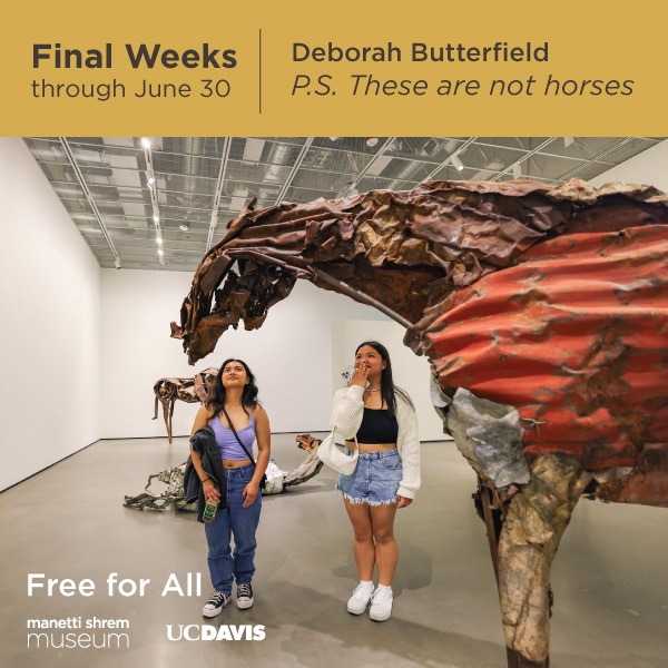 Sacramento365 (@sacramento365) on Twitter photo “Deborah Butterfield: P.S. These are not horses” has been extended by popular demand at <a href="/manettishrem/">Manetti Shrem Museum</a>!
Don’t miss the chance to come back for a closer look and bring your friends and family before this exhibition gallops into the sunset on June 30. 🐎
📸: Hung Q. Pham “Deborah Butterfield: P.S. These are not horses” has been extended by popular demand at <a href="/manettishrem/">Manetti Shrem Museum</a>!
Don’t miss the chance to come back for a closer look and bring your friends and family before this exhibition gallops into the sunset on June 30. 🐎
📸: Hung Q. Pham