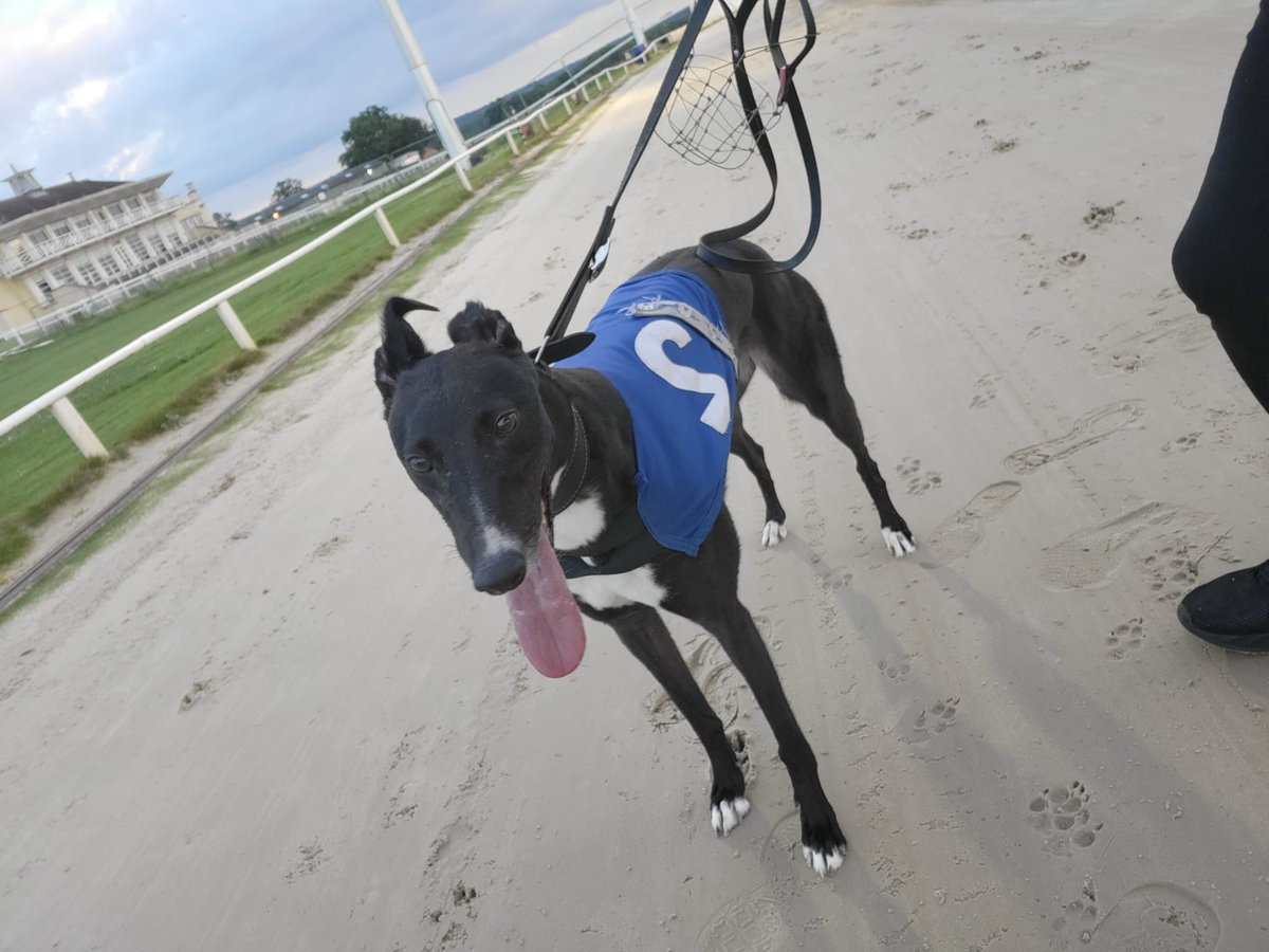🏆WINNER🏆

Makeit Arla wins race 9 <a href="/TowcesterRaces/">Towcester Racecourse</a> in a winning time of 16.07 

OI OI ❤️

Back to back wins💫