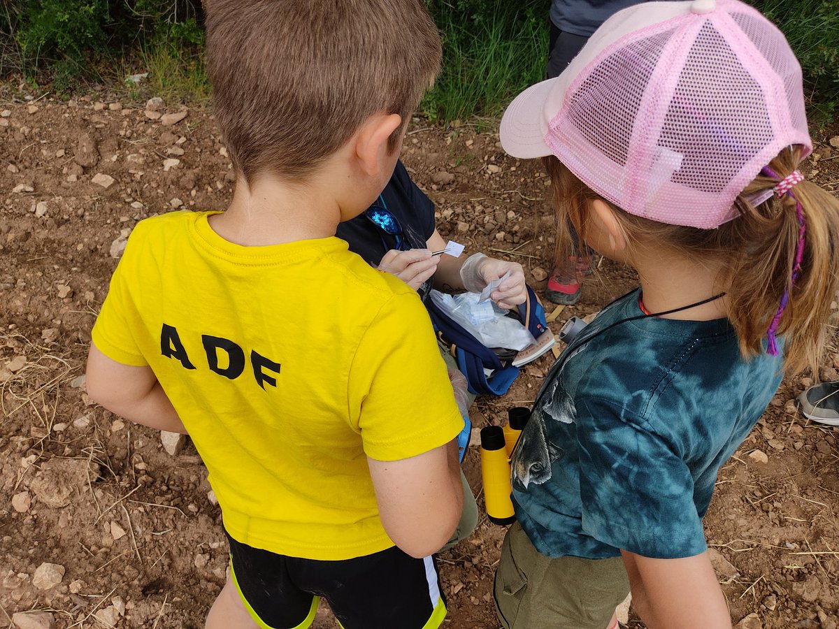 adfCarrerada's tweet photo. 💚Dies atrafegats amb la col•laboració x l'#Atles de #Mamífers @mcngranollers 
Hem aprofitat les feines x ensenyar als menuts de l'entitat, la importància de les feines que fan els científics, en benefici del coneixement de la fauna i #biodiversitat del nostre petit tros de món https://t.co/ct0mMLfZyV