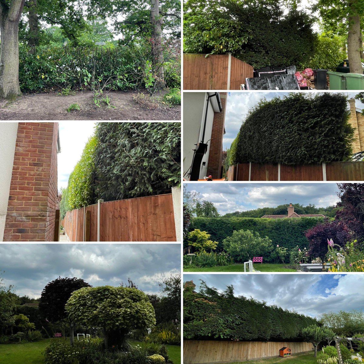 MasonsTree's tweet photo. Hedge trimming, boundary trimming & small reductions carried out today by the team for a repeat client in #WickhamBishops, #Essex. https://t.co/IfBUMvws7p