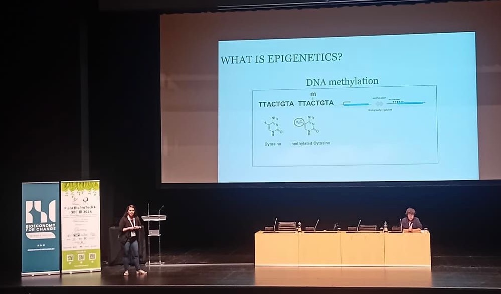 MEMBRA_Trees tweet media