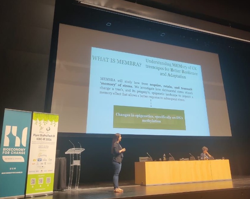 We're super excited to be presenting the MEMBRA project  <a href="/IobcIr/">IOBC BioProTech Conference</a>  #IOBCBioProtechCS 
MEMBRA PI <a href="/ELunaDiez/">Dr Estrella Luna-Diez</a> explains how improving our understanding of tree epigenetics might influence future tree-planting strategies.