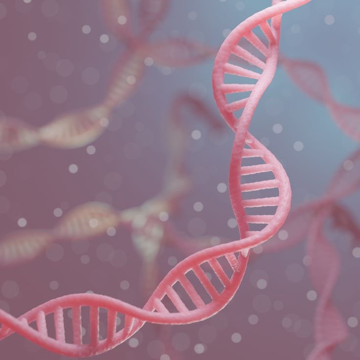 ׂ╰┈➤ The good thing about 
science is that it’s true whether
or not you believe in it. ׂ╰┈➤