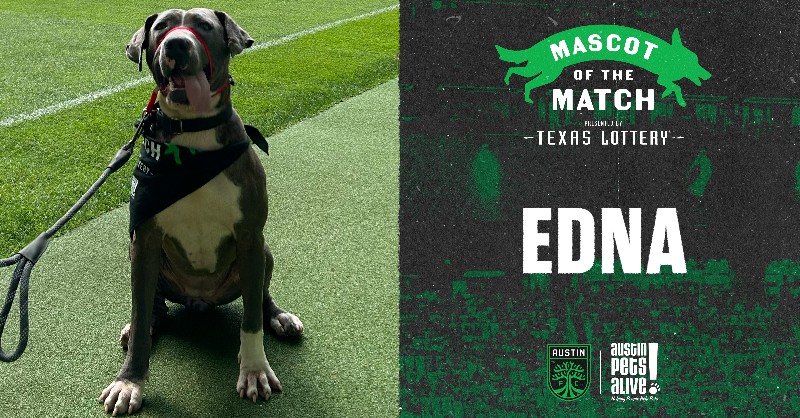 AustinFC's tweet photo. Meet Edna!

@TexasLottery is proud to present tomorrow's #AustinFC Honorary Mascot of the Match, Edna, available through our friends at @AustinPetsAlive!