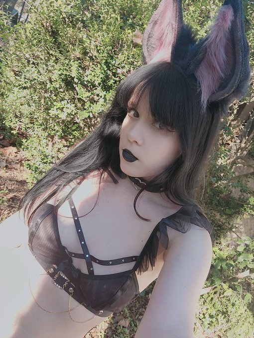 1 pic. would you date a vampire bat? https://t.co/7tUk0GyY2h