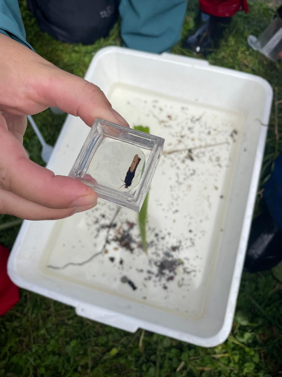 Miss Innes tweet media