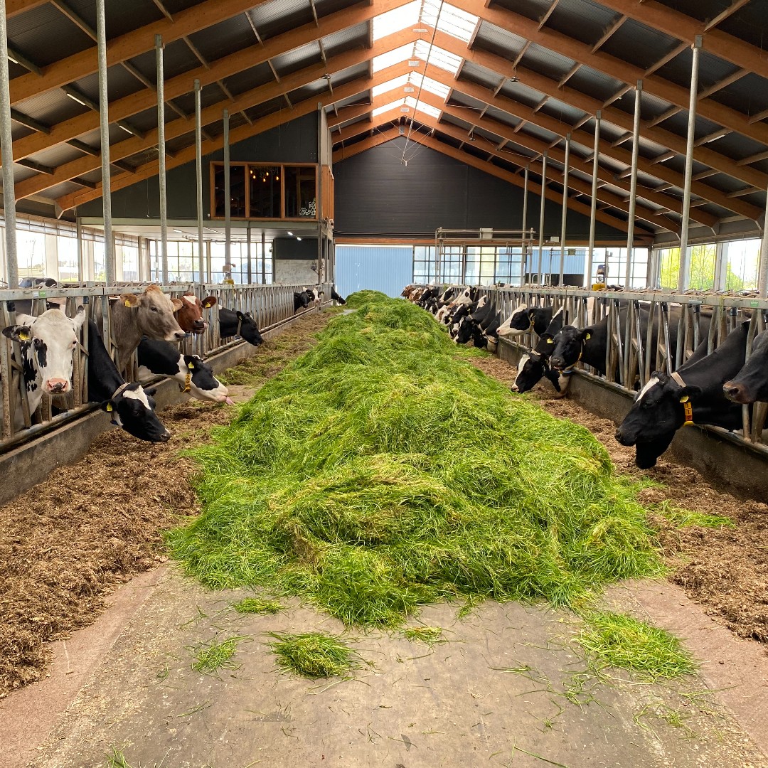 Fortune Fish & Gourmet tweet media