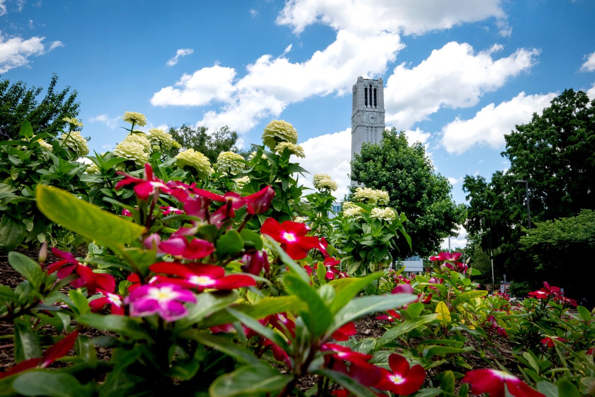 NC State College of Agriculture and Life Sciences (@ncstatecals) on Twitter photo Reaching out for help is not easy. <a href="/NCSUCounseling/">NC State Counseling Center & Prevention Services</a> is here to support you – all year long.
Find the mental health resources you need: ncst.at/pQtP50SlcmN Reaching out for help is not easy. <a href="/NCSUCounseling/">NC State Counseling Center & Prevention Services</a> is here to support you – all year long.
Find the mental health resources you need: ncst.at/pQtP50SlcmN