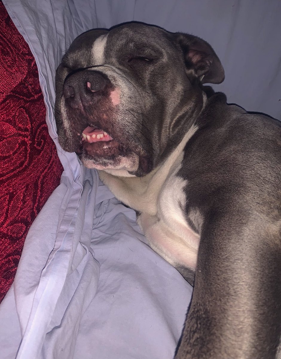 Me after work: