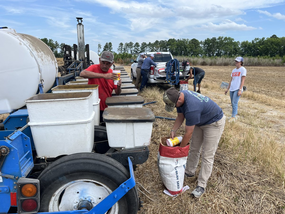 Beans, beautiful beans double cropped behind wheat. Looking forward to keeping tabs on these 4.6 - 5.7 maturity varieties along the way! #RevereBeans🌱

📍Robeson Co, NC
📸 Vance McRae, Solutions Advisor; Andrew Whitaker, Agronomy Intern; Emma Kirkley, Sales Intern