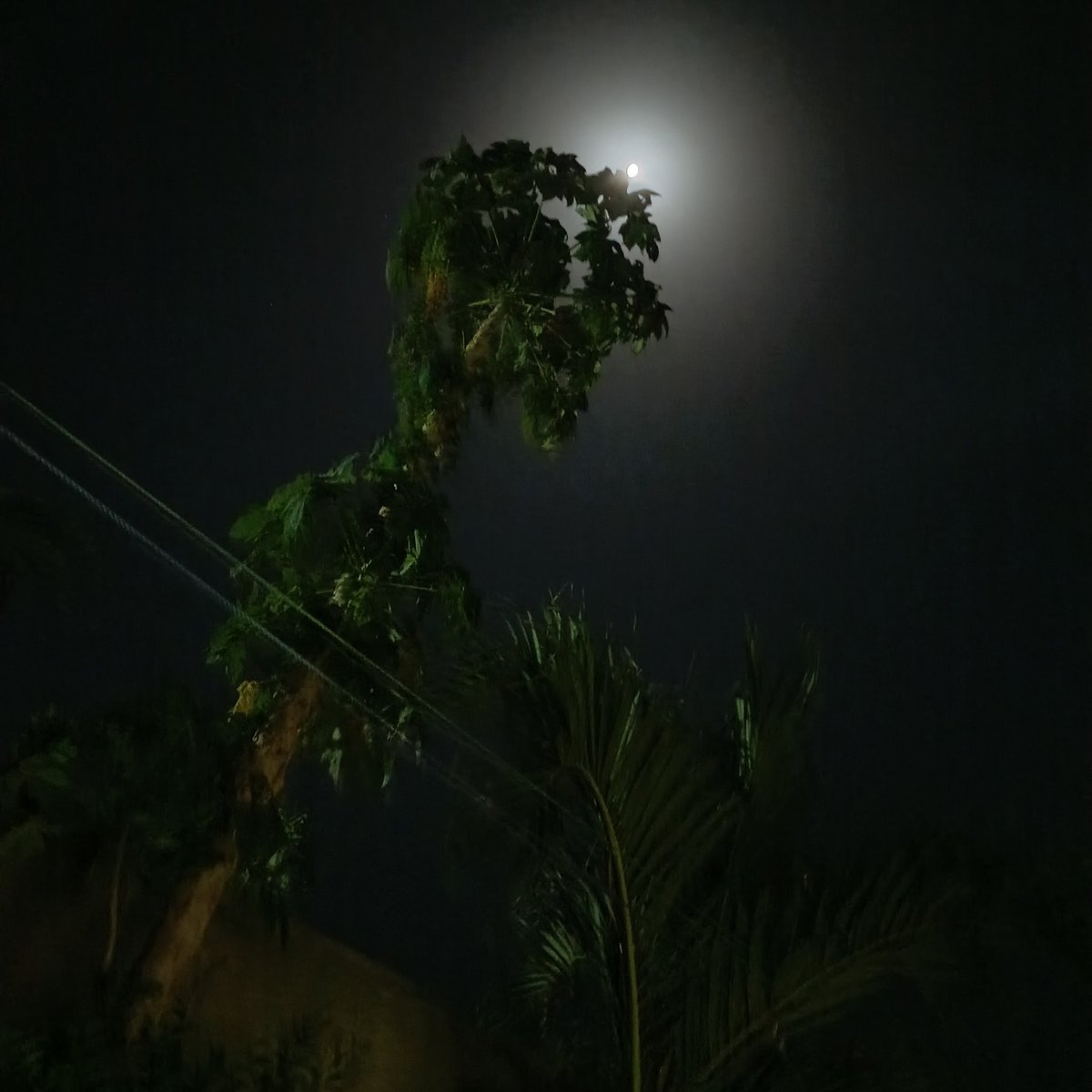 #NouvellePhotoDeProfil