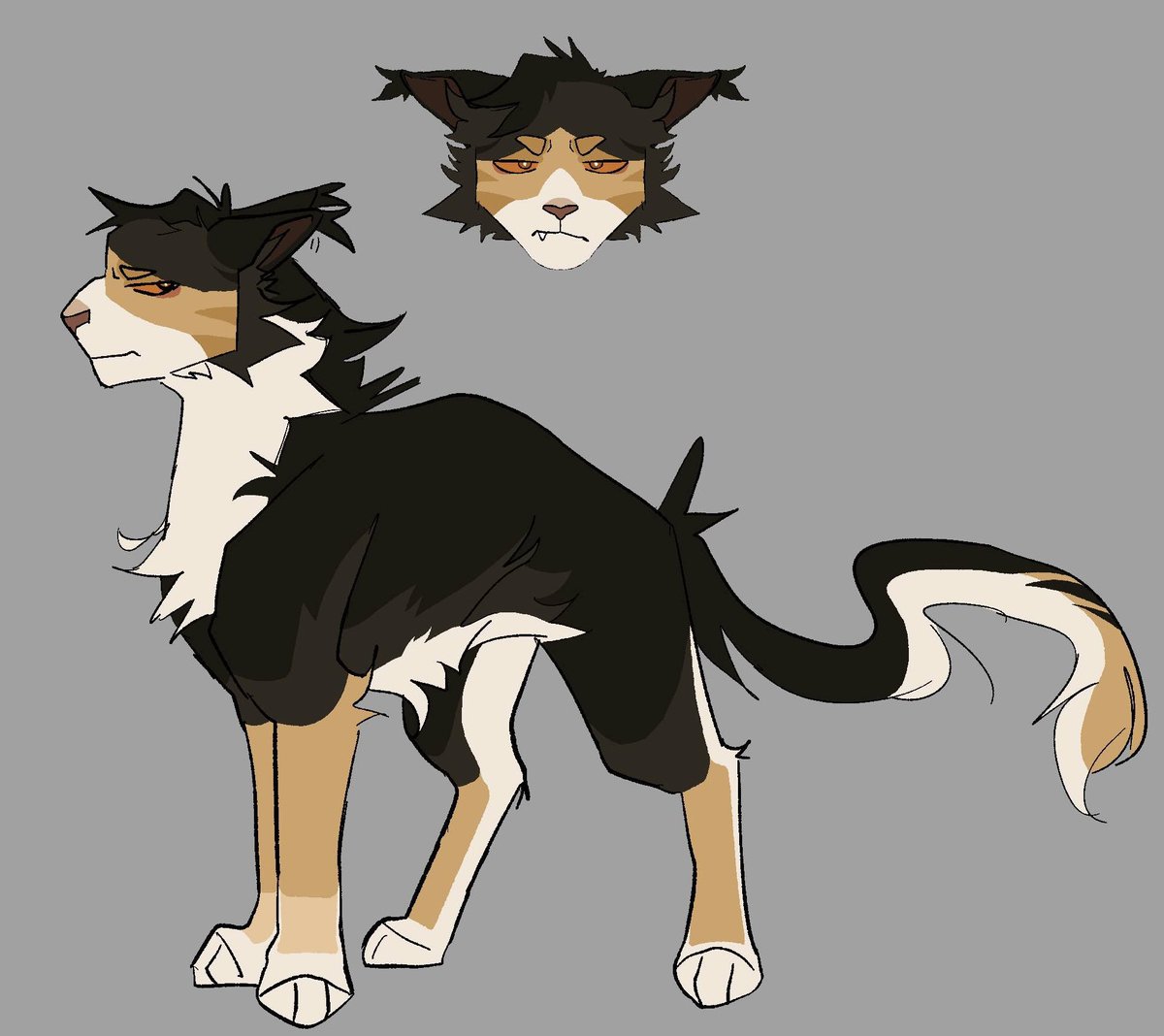 pineapplebech's tweet image. New oc eee he’s going up on my artfight which im gonna post in like a sec #warriors #warriorcatsart #warriorcatsoc