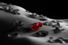 Vannerood's tweet image. Me lates, en esa parte
desconocida del estómago 
donde las mariposas bailan.

#Soñando (te)