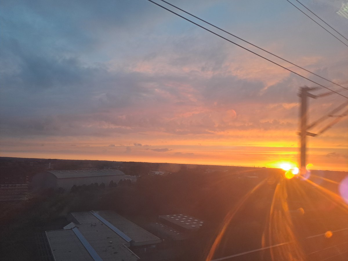 Christiane Reinecke tweet media