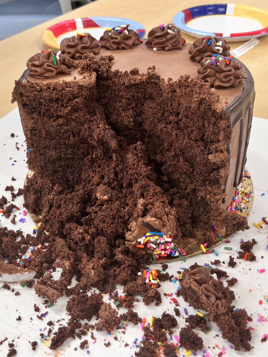 Yasmeen Hamed tweet media