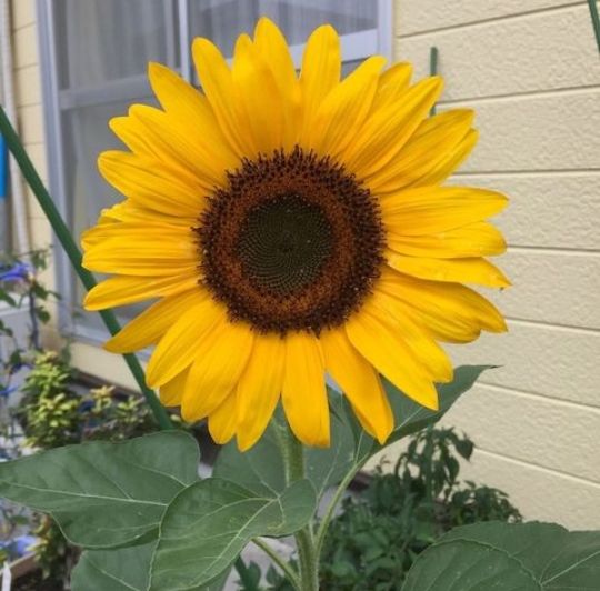 .•°``°•🌸°``°•.
(／／／ ＼＼)❤️
( │ ● ‿ ●  │)
╰┬ღ🎀ღ┬ (\_(\
__ (░)(░)🌸.(=' :')💋 
..❤️°๑⁀⋱‿⁮(,(")(")

#QuartaCarpeDiemSDV🌻
#QuartaPimentinhasSDV🌶️

  ♡*⁠˘˘⁠*.⁠｡⁠*⁠♡[🍄♡🍄]♡*⁠˘˘⁠*.⁠｡⁠*⁠♡